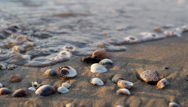 Bright Apartment Close to Ponente Beach - Beahost - Foto 5, Comida y bebida