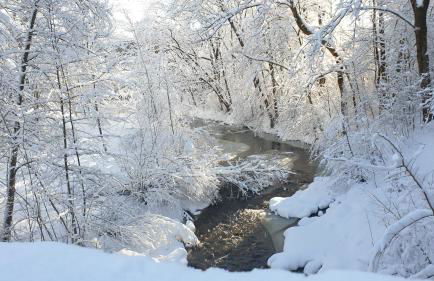 FeWo Schönfeld - Photo 21