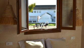 Lincea Home I Casa completa en el corazón del Rocío - Foto 2