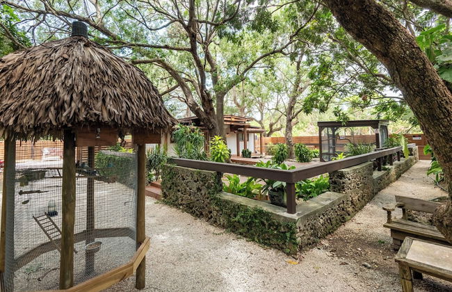 Find Peace - Tiny House in Japanese Garden - Foto 35