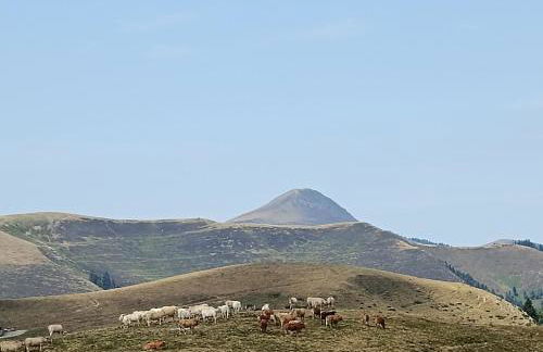 CHALET 4 Le Cerf - Foto 41