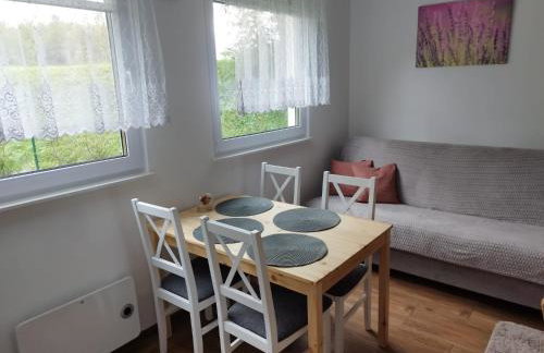 Lawendowa Przystań - dom z jacuzzi w cenie nad jeziorem - Foto 12