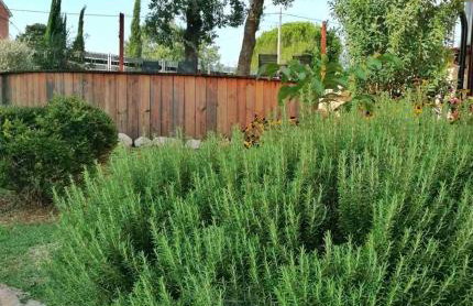 Apartman Kalić - Foto 53