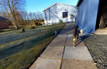 Ferienhaus Bullerby , Missunder Fährstraße 12, 24864 Brodersby - Foto 3