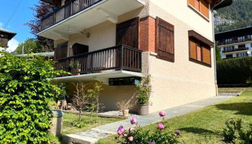 Fizhome Mt Blanc - Photo 1