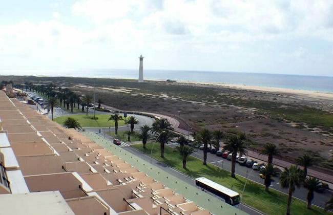 Palm Garden Apartments - Photo 40