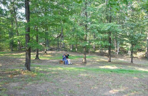 Mountain Meltdown - Pet Friendly, Grill, Wifi, Fire Pit, EV Station -Shared Space - Grill, Fire Pit, Covered Porch, Fountain Pond - Foto 37