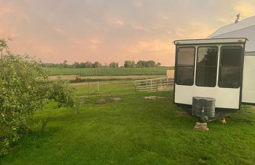 Yahweh Horse Retreat - Photo 10