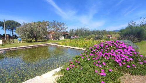 Holiday Home Nord by Interhome - Foto 4