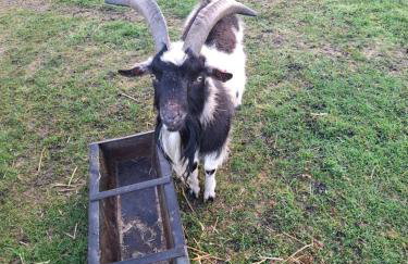 Mardi Gras, Upwell - Foto 40