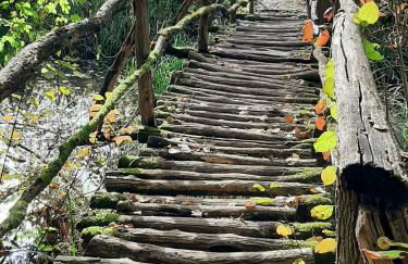 Ferienwohnung "Am Blauwasser" mit Infrarotkabine - Foto 26