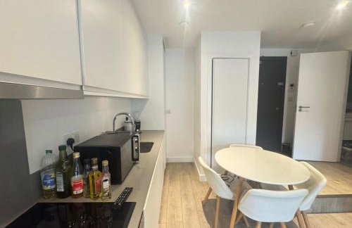 JVL Nice Cosy 1BR Flat Purley, London - Foto 55