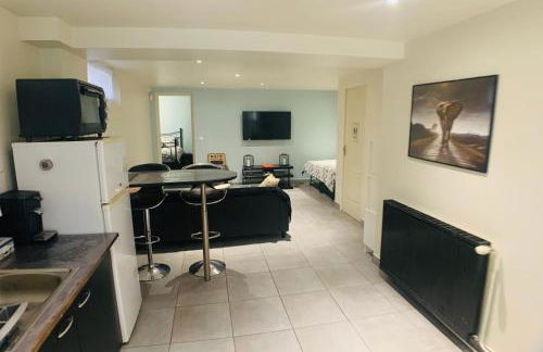 Appartement cosy proche Roissy CDG Astérix DisneyLand Paris - Foto 30