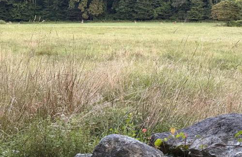 Historic Farm on 96 Acres! - Foto 14