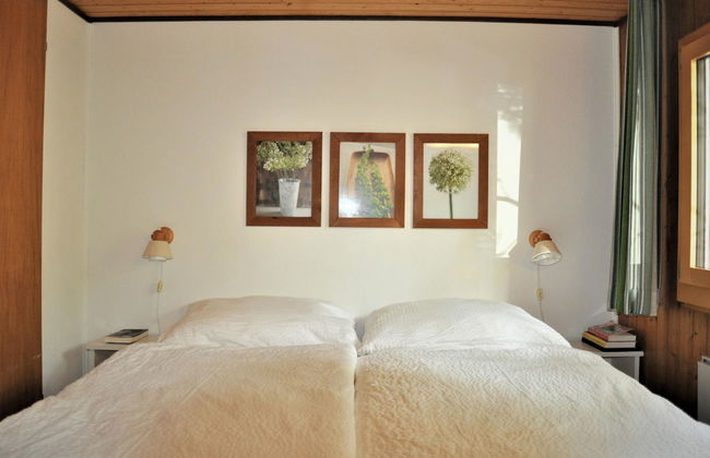 Sumpfbödeli - Foto 19