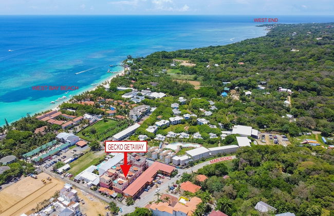 Gecko Getaway 2 Bedroom Condo by RedAwning - Photo 14