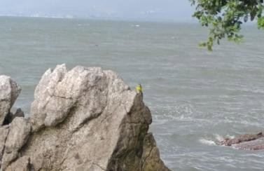 Casa Nova na Tapera near the airport - Foto 24