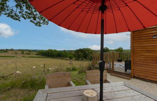 Blaenplwyf Shire Pods - Foto 20