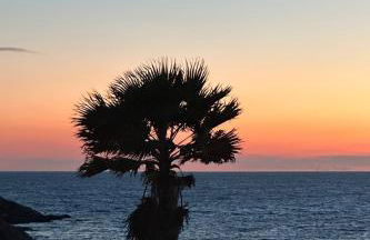 Les cabanes d'Anima - Suite Verveine - 30m from beach - Foto 25