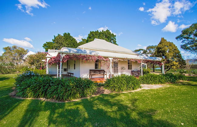 Cockfighters Ghost Vineyard - Foto 1