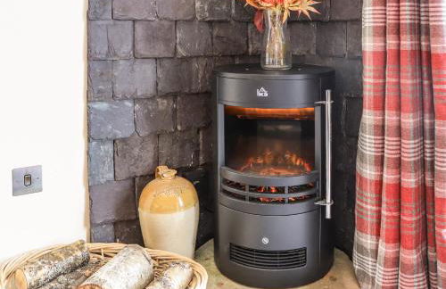 Pine Marten - Foto 7