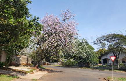 Yolanda Family House - Foto 26