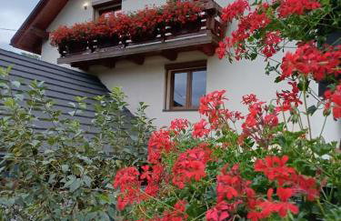 Apartament pod bukowym lasem - Foto 15