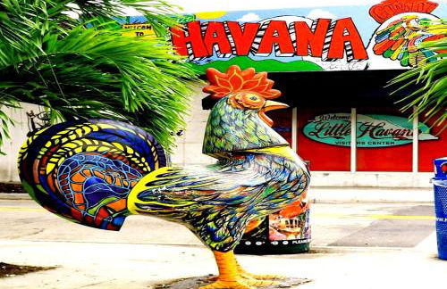 Balcony 2BR Apartment with Free Parking near Freedom Park & Brickell - Foto 62