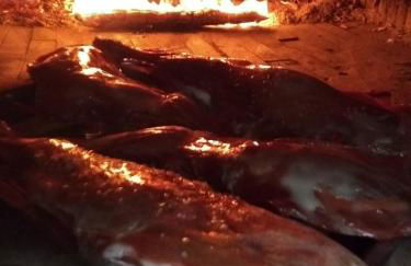 Posada Matadero - Foto 17