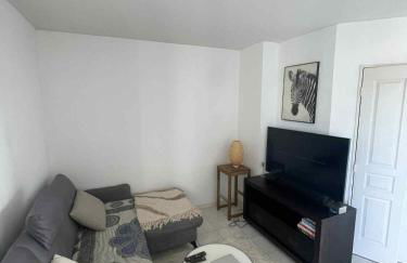 Superbe appartement à Lyon8 avec 2 balcons - Foto 1