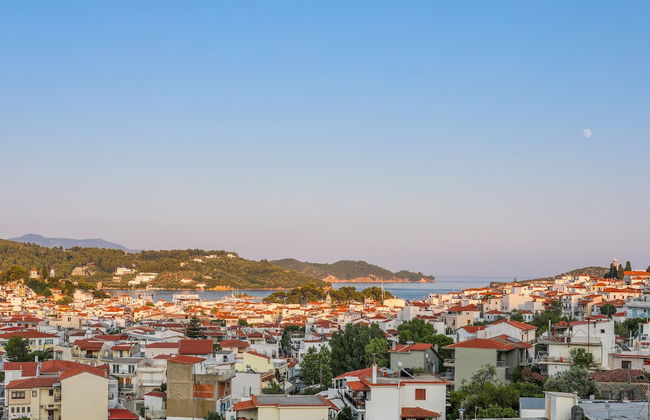 Antonia House - Photo 1