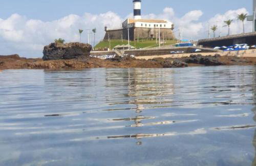 Barra Premium - Foto 34