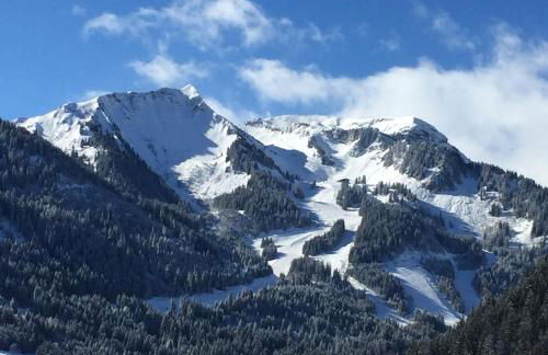 La Chaumiere - Luxury Traditional Chalet, Châtel - Foto 16
