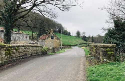 Shepherds hut, Eco, Log burner Hot tub NY moors - Foto 34