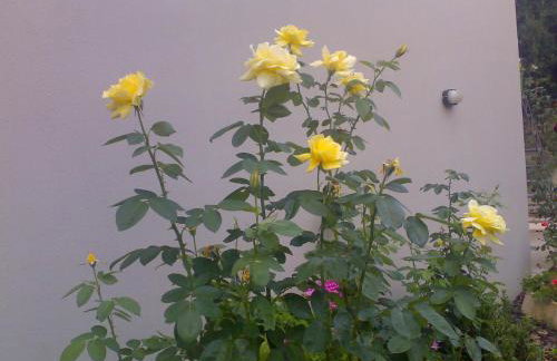 Villa Markos - Foto 22