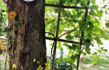 Casa dell'Antica Norba, Norma - big house - Photo 36