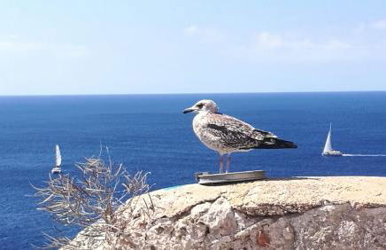 Chalet maisonette dans hameau calme - Foto 30