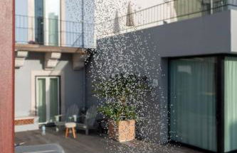 Light Blue Apartments - Downtown Lisbon - Foto 32