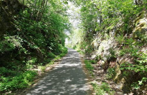 Ferienwohnung Bergwiese - Foto 21