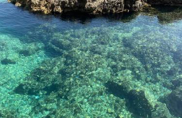 Apartman ZORKA - Photo 21