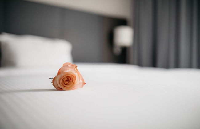 IIP Apartments - Self Check In - Foto 13