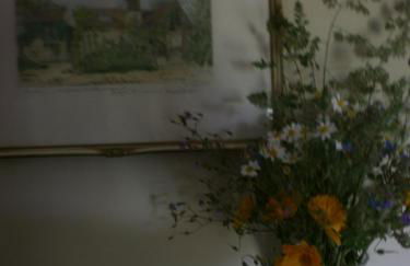 Landhaus Messerschmitt - Foto 53