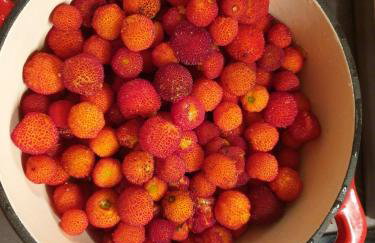 Studio apartment in Mali Losinj with terrace, air conditioning, WiFi, washing machine 4913-2 - Foto 15