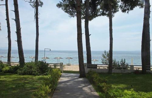 Marine Wave - Foto 5