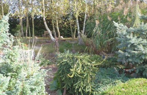 Domek blisko granicy u Darka - Photo 16