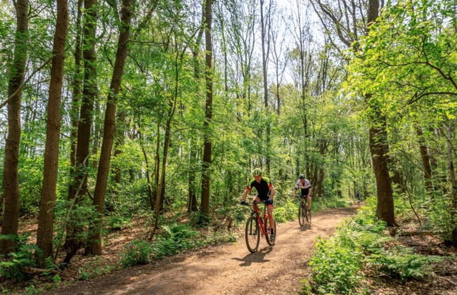 Chalet in Dutch Park With Garden and Terrace - Foto 23