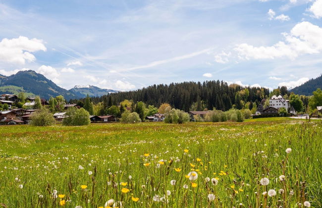 Beautiful Flat in Kirchberg Near the ski Area - Photo 38