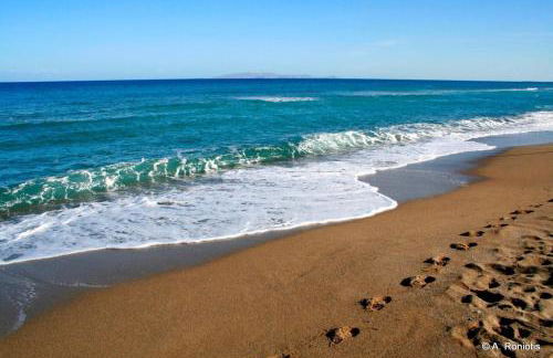 Elva villa - Photo 51