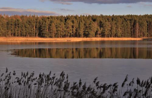 Cztery Luksusowe Domy na Mazurach, jezioro Juksty - SAKURAREST - Foto 25