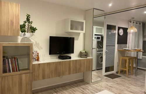 La Salamandre de l Olivier - le Palmier - Foto 10